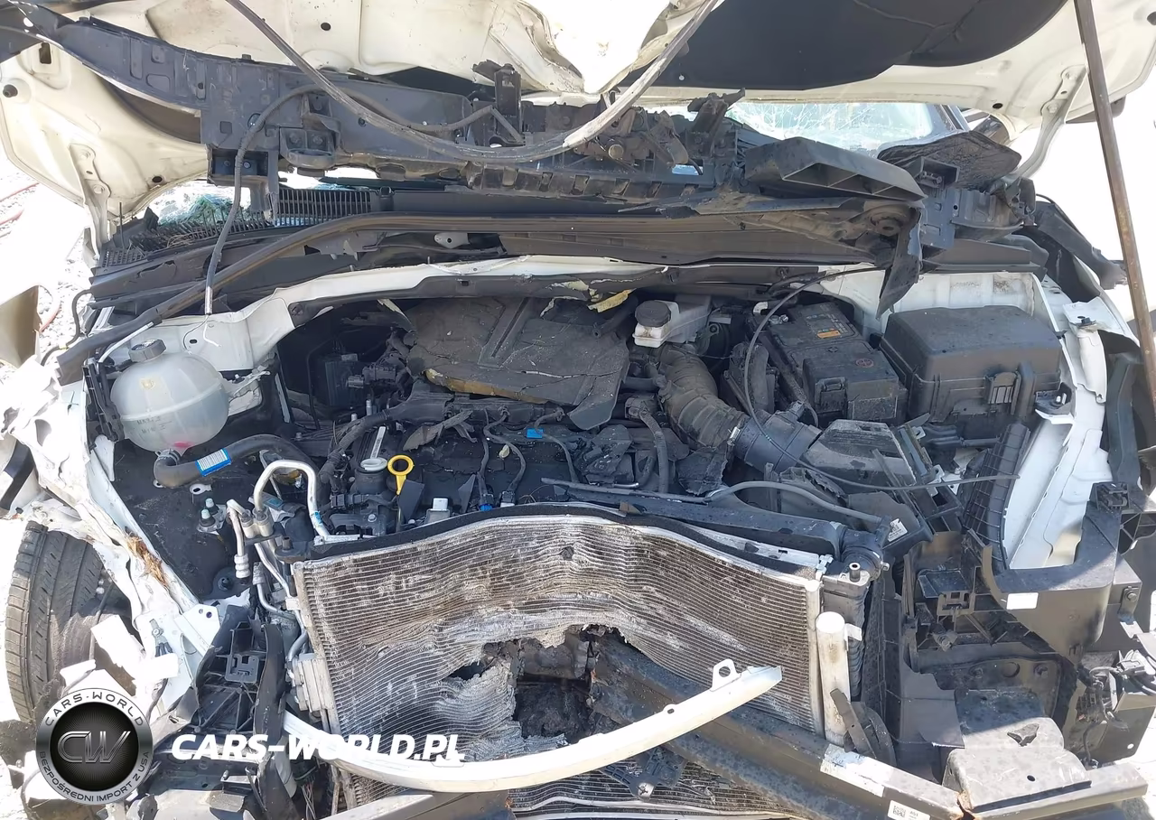 2023 Kia Carnival Mpv Ex VIN:KNDNC5H39P6250921 - 10