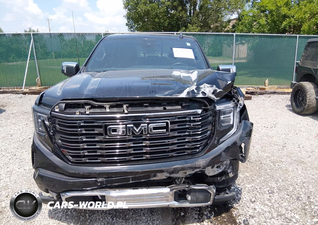 2023 GMC Sierra 1500 4Wd Short Box Denali Ultimate VIN:1GTUUHEL6PZ131446 - 12