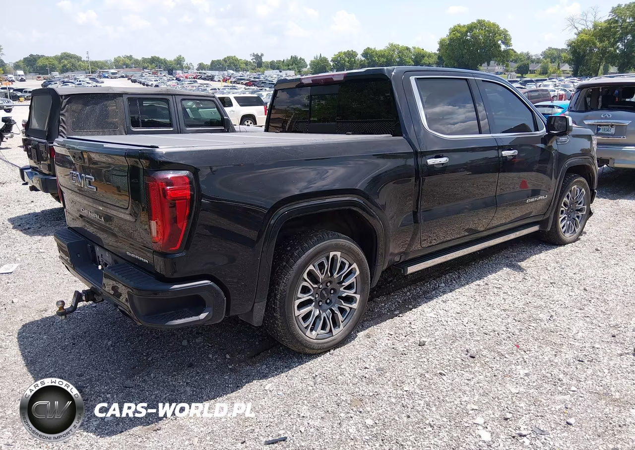 2023 GMC Sierra 1500 4Wd Short Box Denali Ultimate VIN:1GTUUHEL6PZ131446 - 4