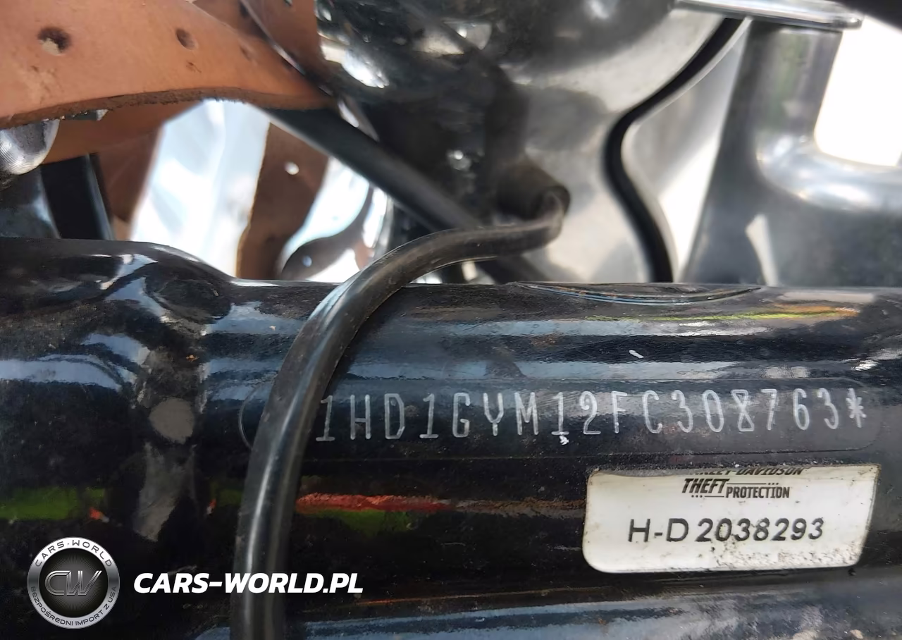 2015 Harley-Davidson Fxdf Dyna Fat Bob VIN:1HD1GYM12FC308763 - 10