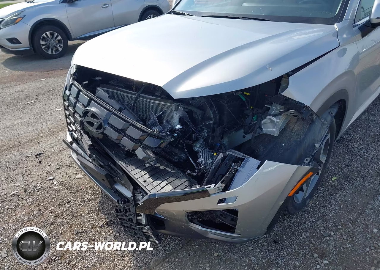 2024 Hyundai Palisade Limited VIN:KM8R5DGE5RU758063 - 6