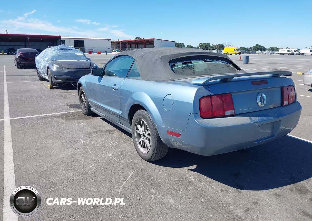2005 Ford Mustang VIN:1ZVFT84N355168860 - 3