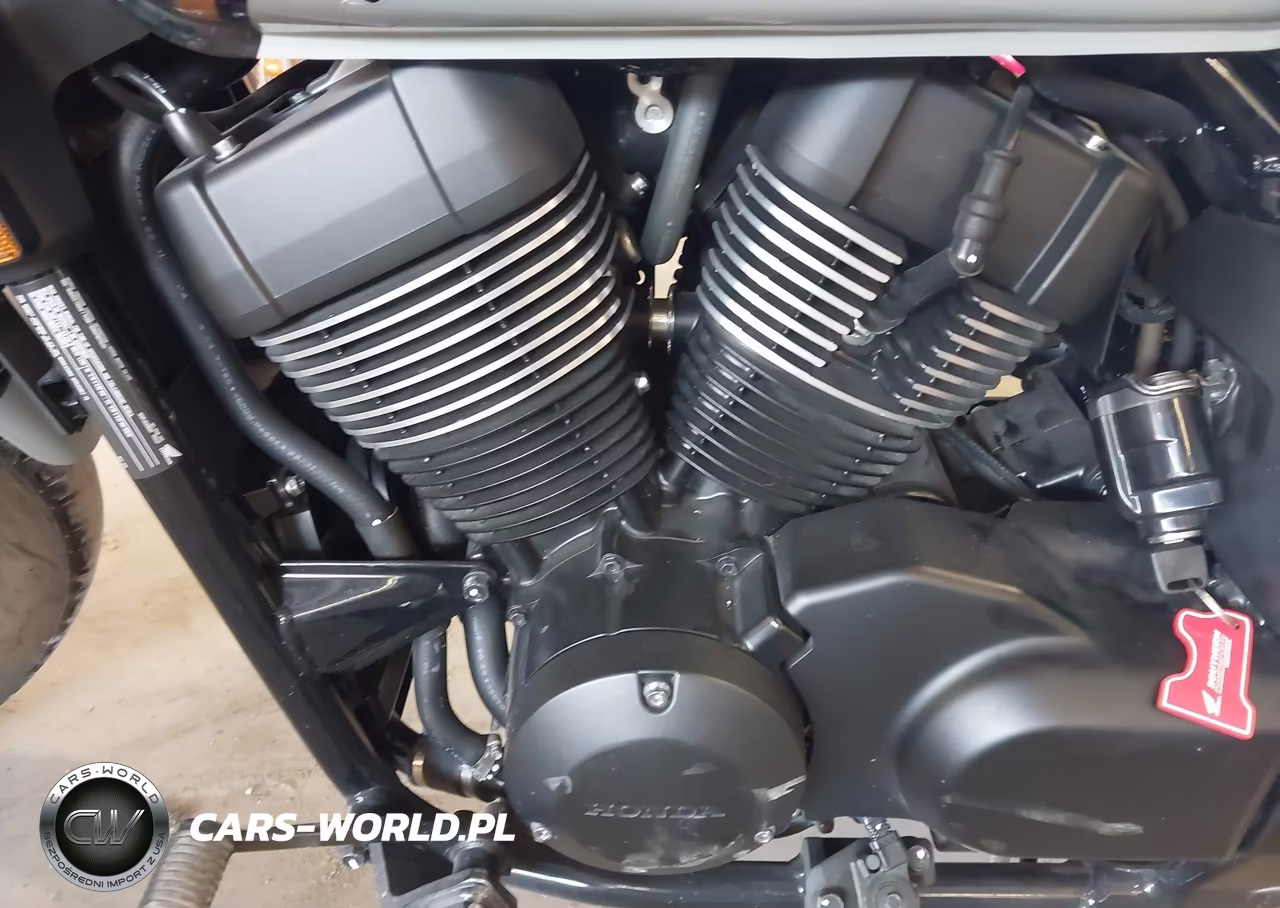 2024 Honda Vt750 C2B VIN:JH2RC5379RK400099 - 9
