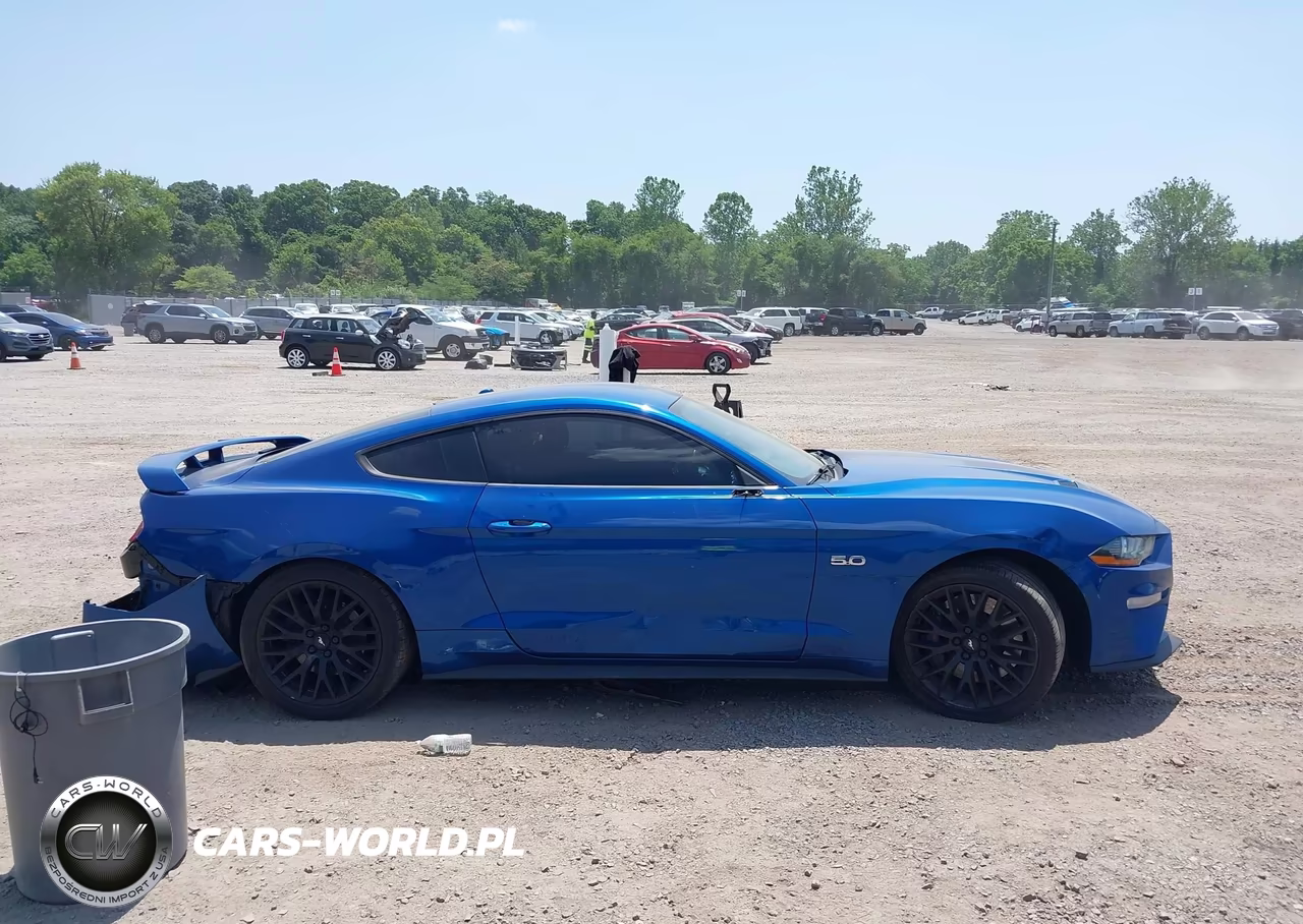 2018 Ford Mustang Gt-Gt Premium VIN:1FA6P8CF0J5171345 - 13