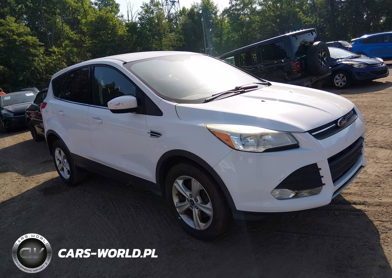2013 Ford Escape Se