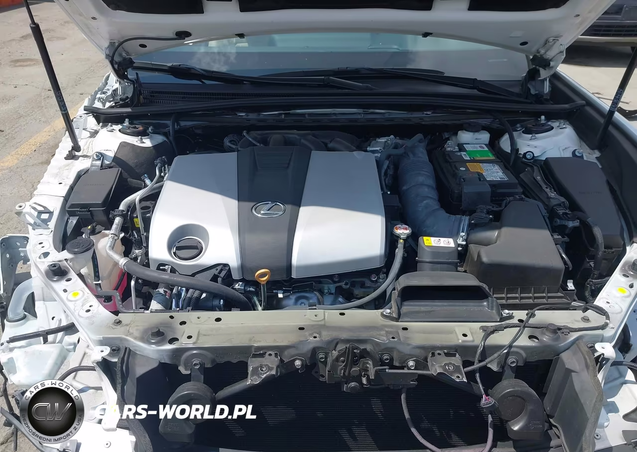 2020 Lexus Es 350 Luxury VIN:58AEZ1B14LU055544 - 10