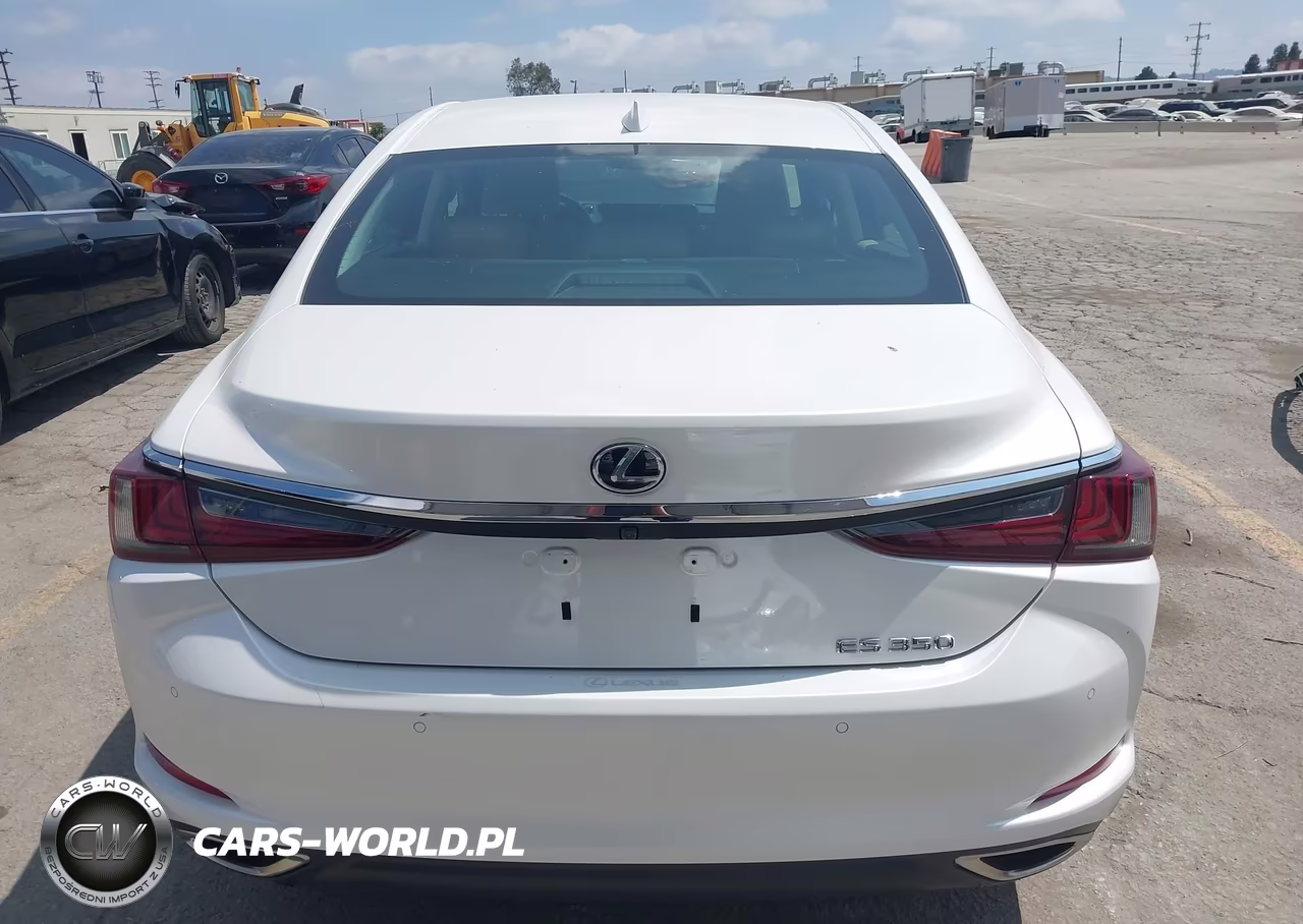 2020 Lexus Es 350 Luxury VIN:58AEZ1B14LU055544 - 17