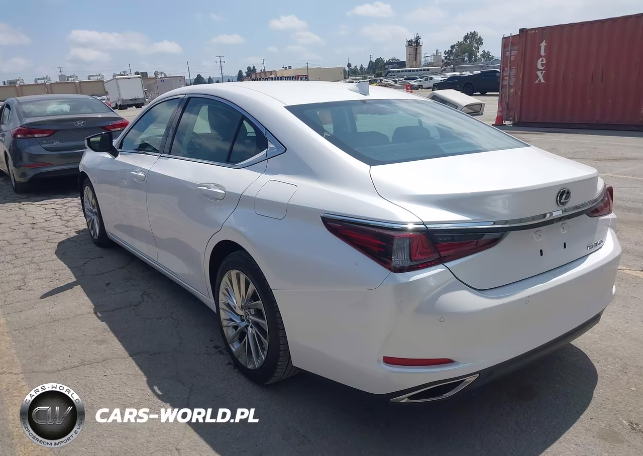 2020 Lexus Es 350 Luxury VIN:58AEZ1B14LU055544 - 3