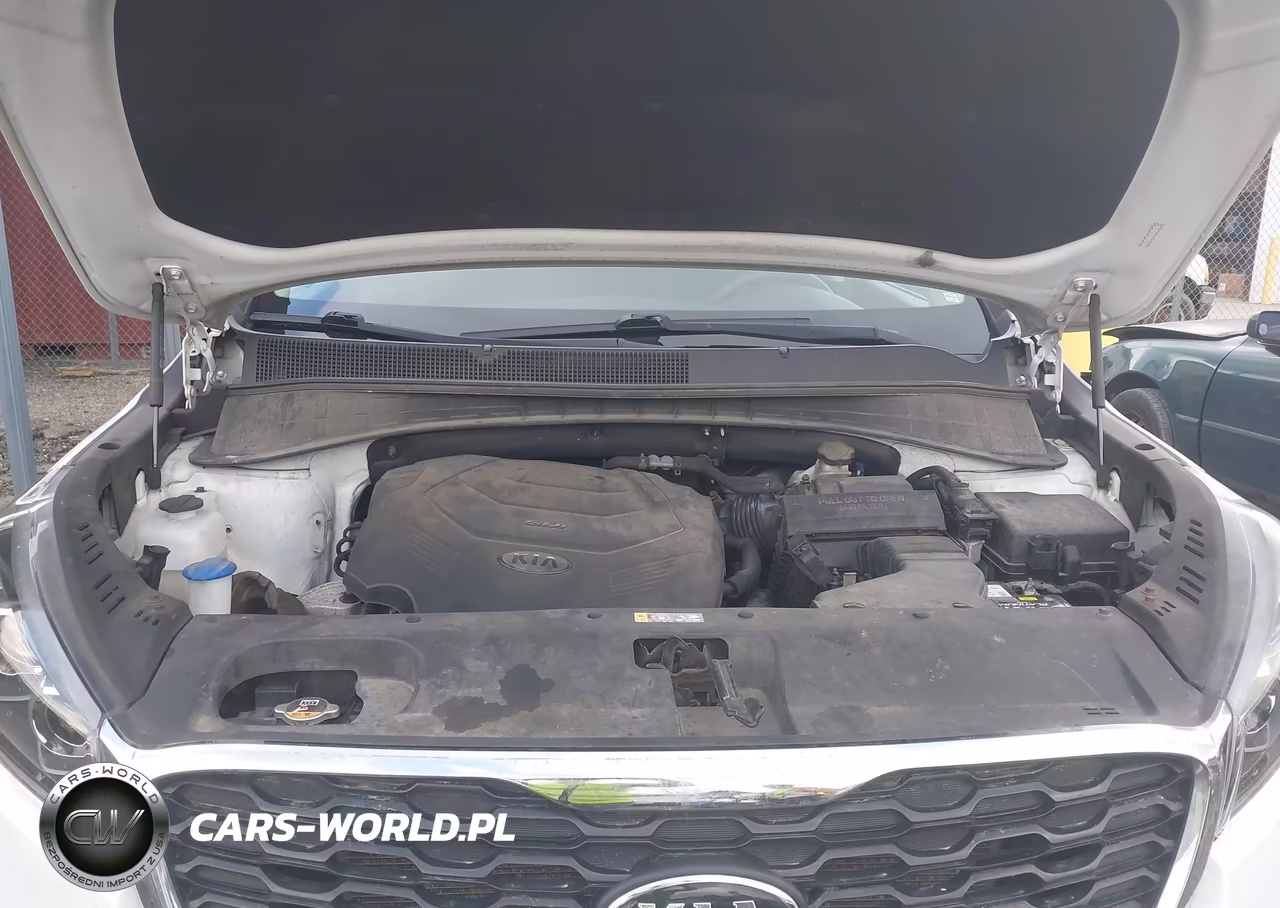 2020 Kia Sorento 3.3L Lx VIN:5XYPGDA56LG620815 - 10