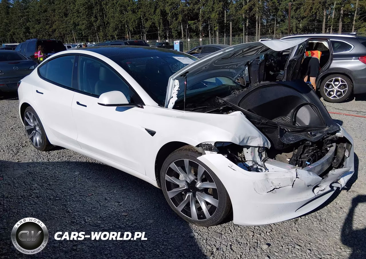 2025 Tesla Model 3 Long Range Rear-Wheel Drive-Standard Rear-Wheel Drive