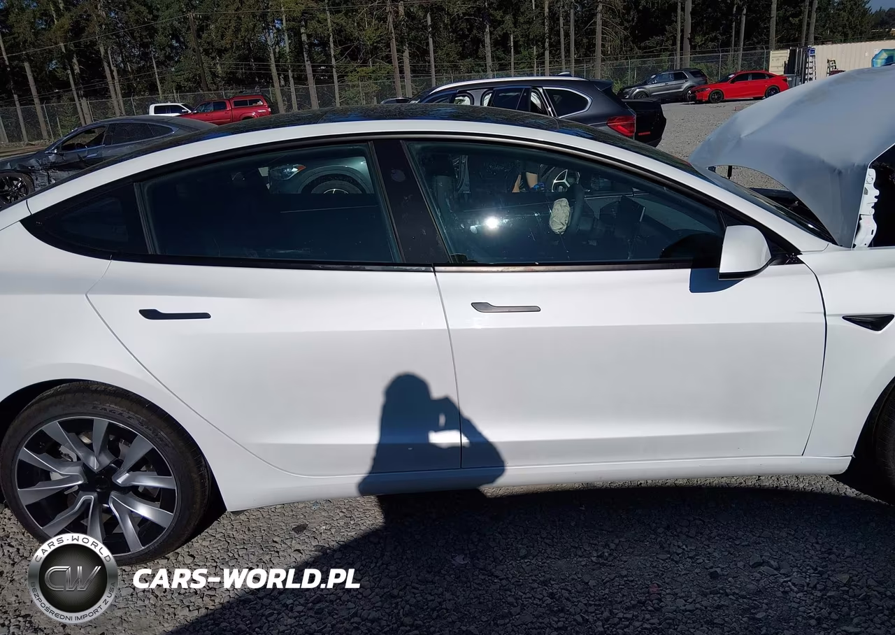 2025 Tesla Model 3 Long Range Rear-Wheel Drive-Standard Rear-Wheel Drive VIN:5YJ3E1EA9SF048364 - 14