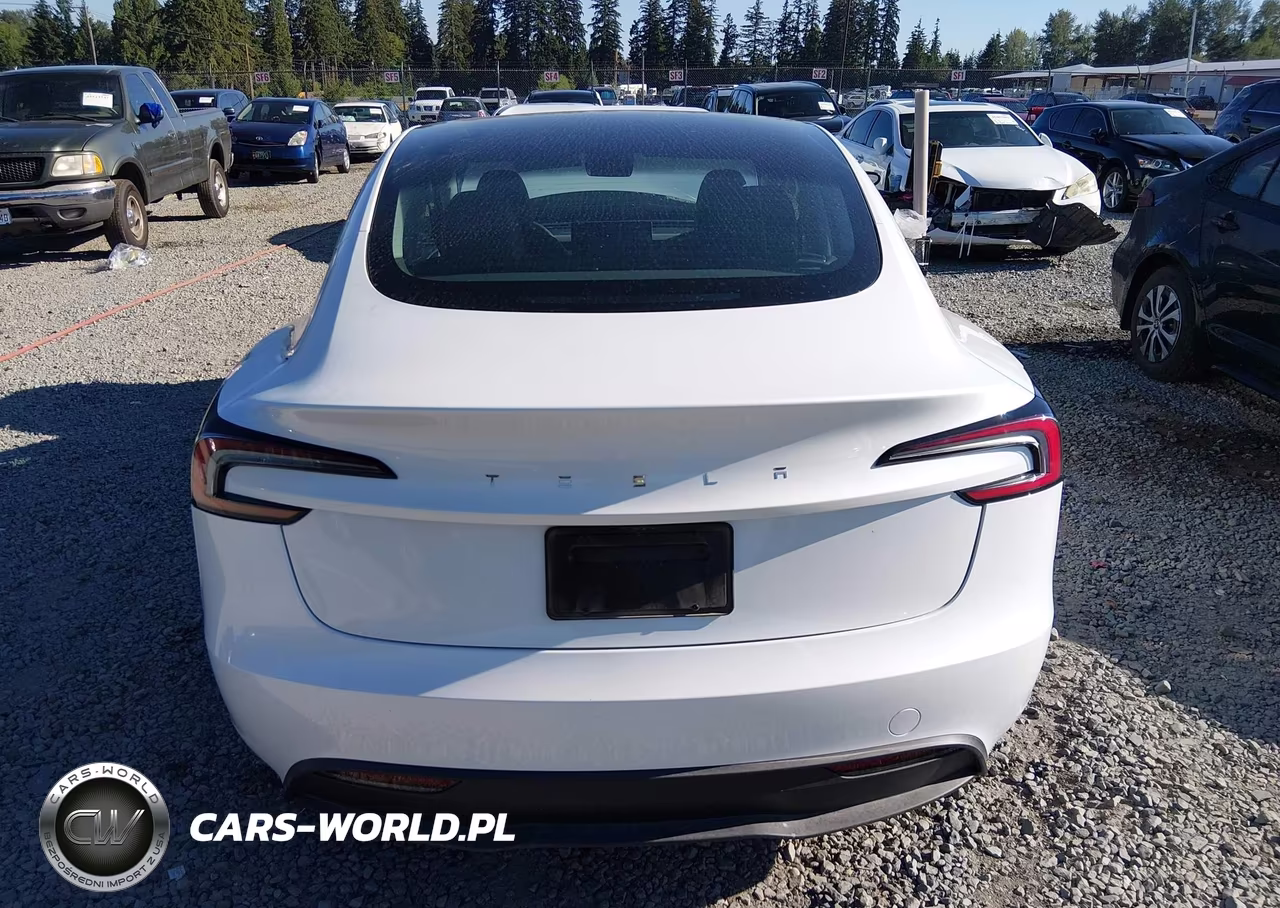 2025 Tesla Model 3 Long Range Rear-Wheel Drive-Standard Rear-Wheel Drive VIN:5YJ3E1EA9SF048364 - 17