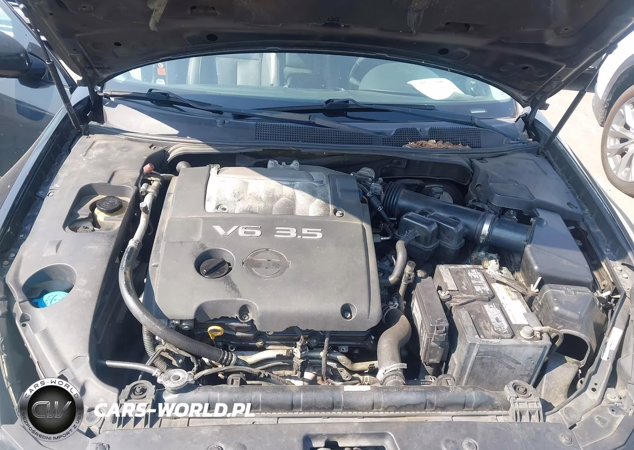 2007 Nissan Maxima 3.5 Se VIN:1N4BA41E97C802438 - 10