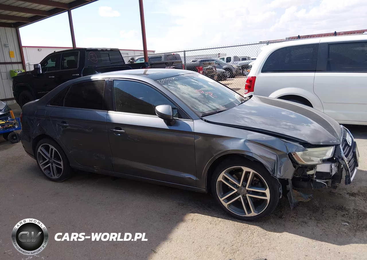 2017 Audi A3 2.0T Premium VIN:WAUAUGFF3H1045014 - 13