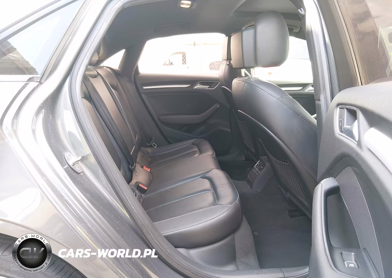 2017 Audi A3 2.0T Premium VIN:WAUAUGFF3H1045014 - 8