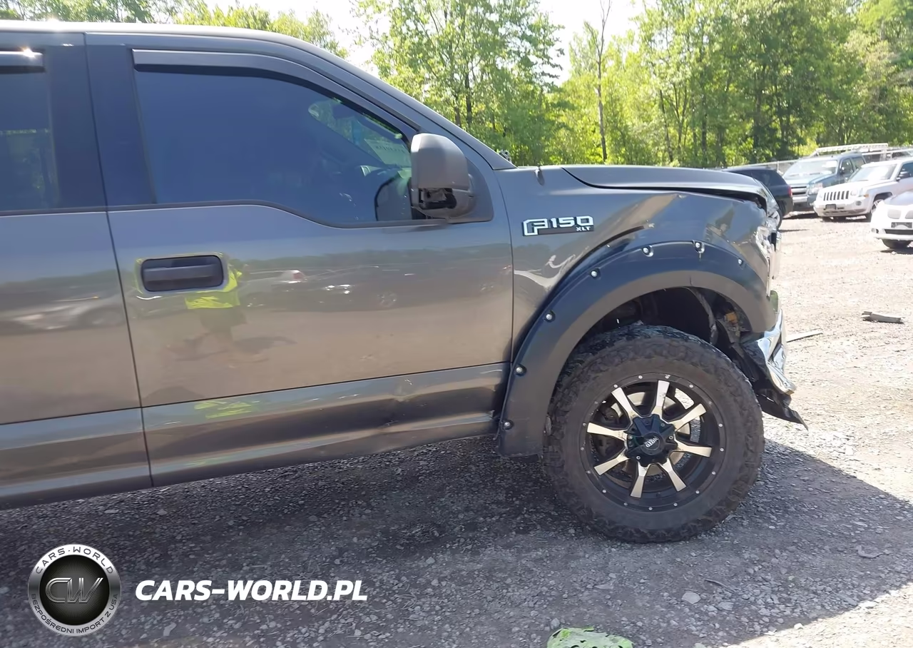 2018 Ford F-150 King Ranch-Lariat-Platinum-Xl-Xlt VIN:1FTEW1E51JFA02529 - 6