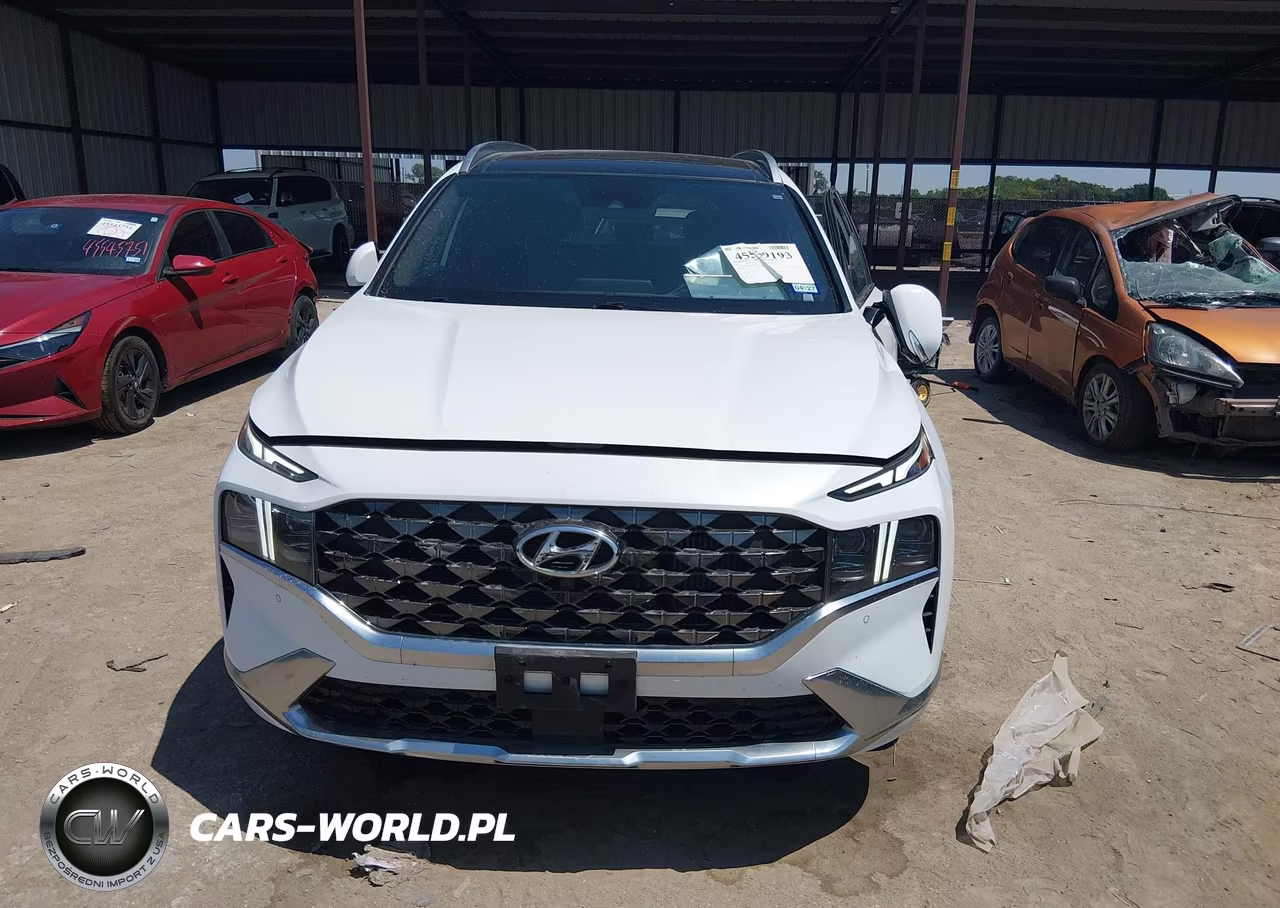 2022 Hyundai Santa Fe Calligraphy VIN:5NMS5DAL4NH396287 - 12