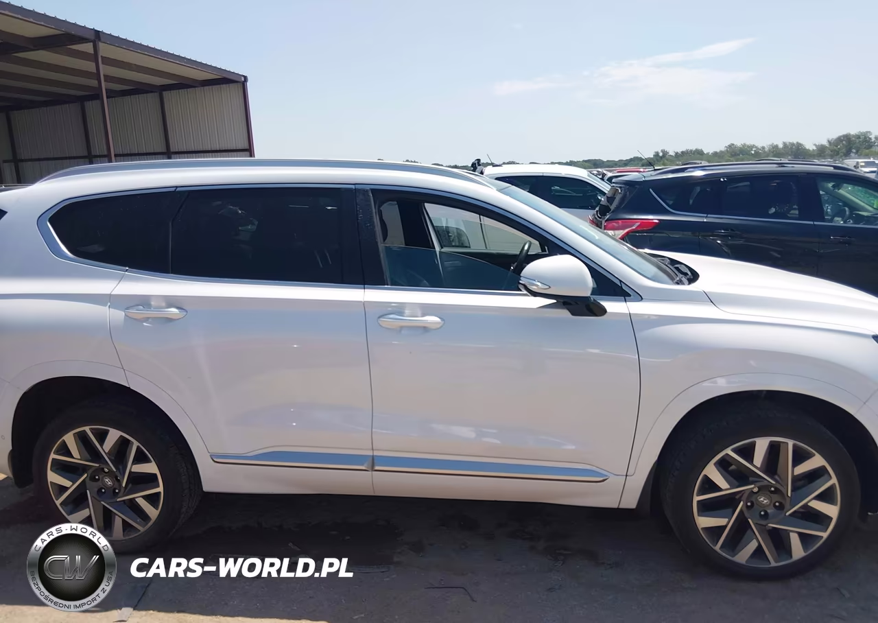2022 Hyundai Santa Fe Calligraphy VIN:5NMS5DAL4NH396287 - 13
