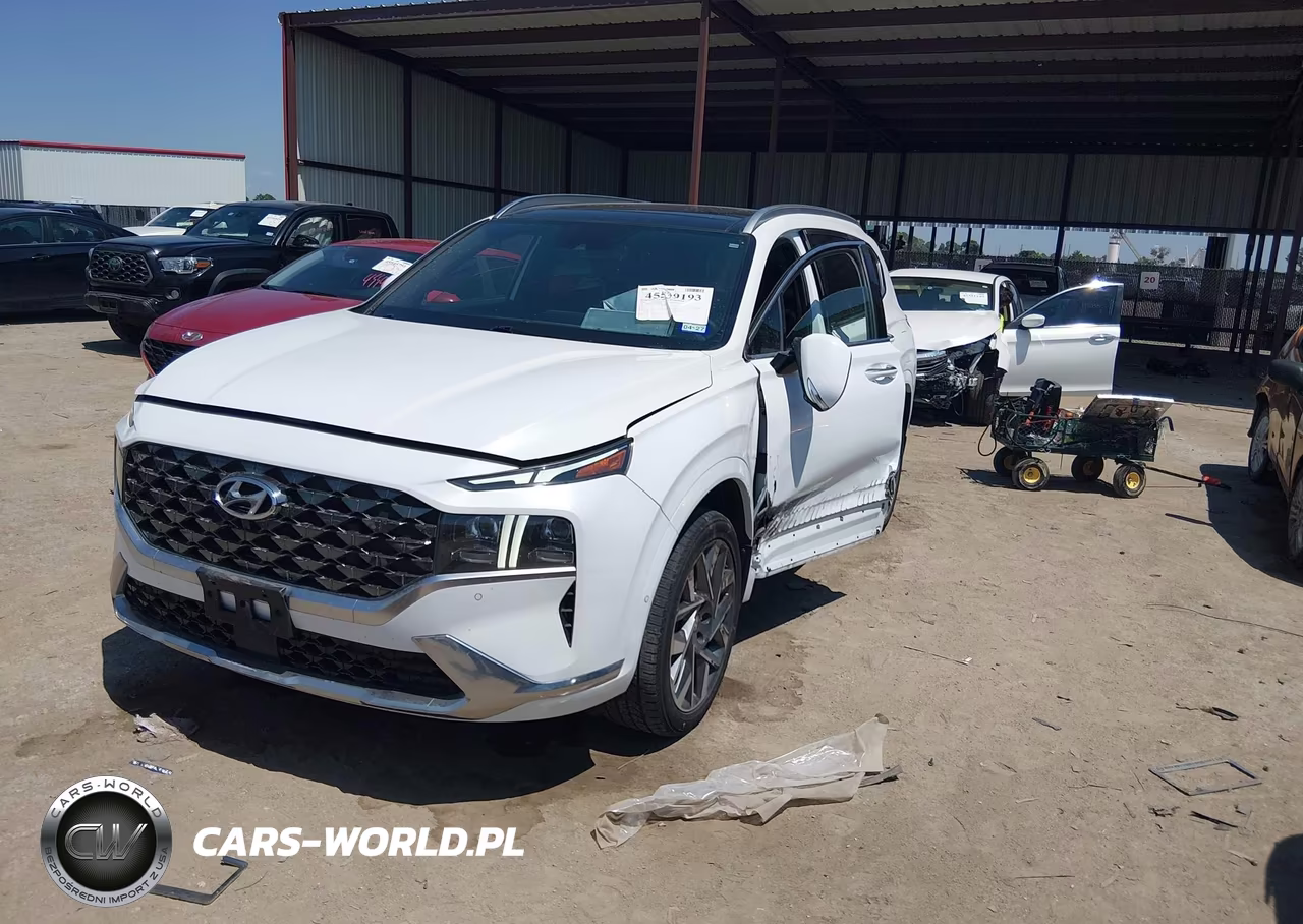 2022 Hyundai Santa Fe Calligraphy VIN:5NMS5DAL4NH396287 - 2