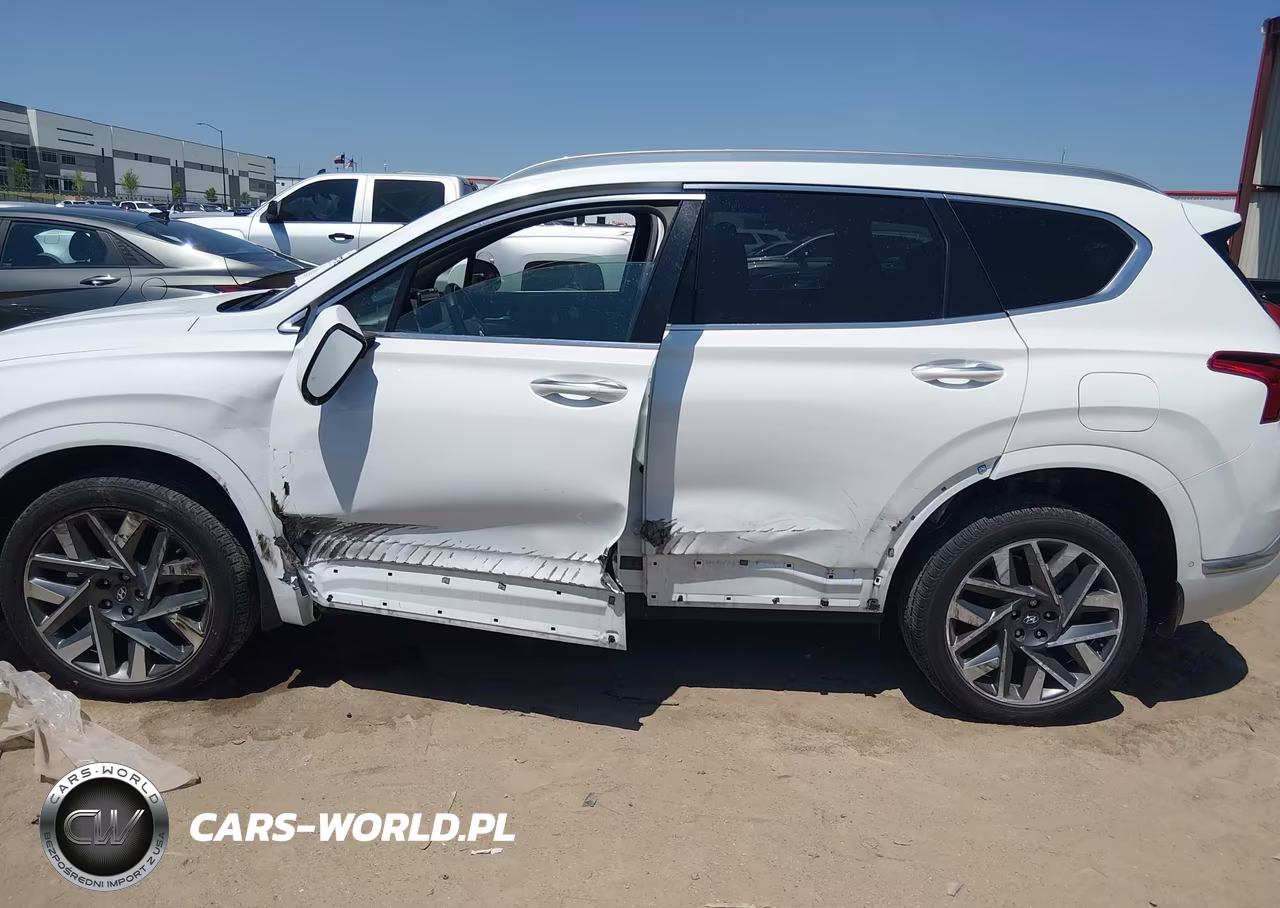 2022 Hyundai Santa Fe Calligraphy VIN:5NMS5DAL4NH396287 - 6