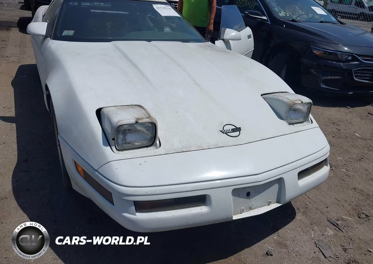 1996 Chevrolet Corvette VIN:1G1YY32P1T5117979 - 12