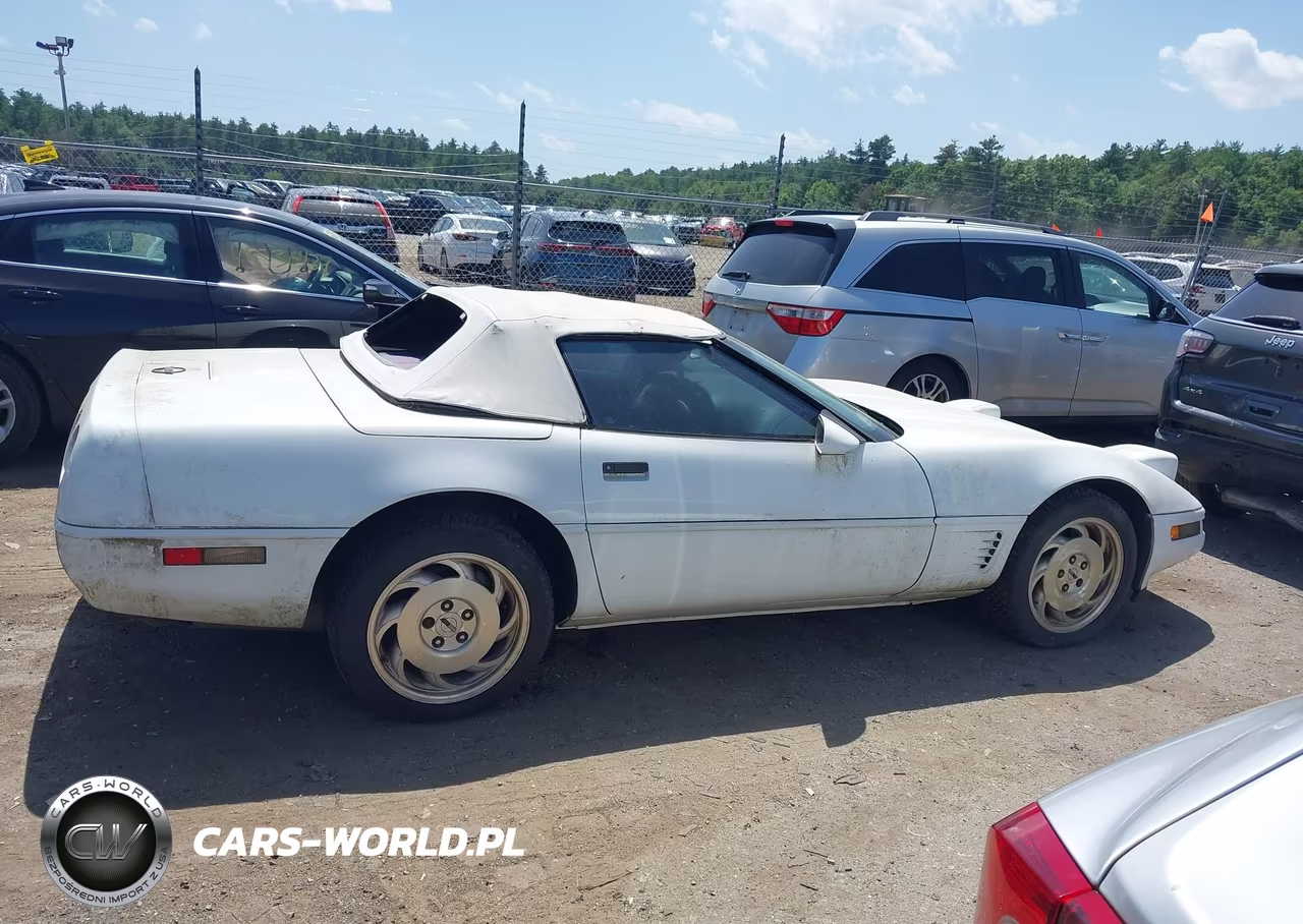 1996 Chevrolet Corvette VIN:1G1YY32P1T5117979 - 13