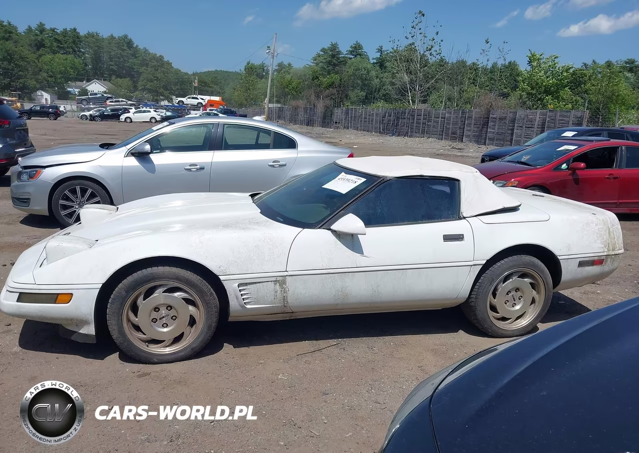 1996 Chevrolet Corvette VIN:1G1YY32P1T5117979 - 14