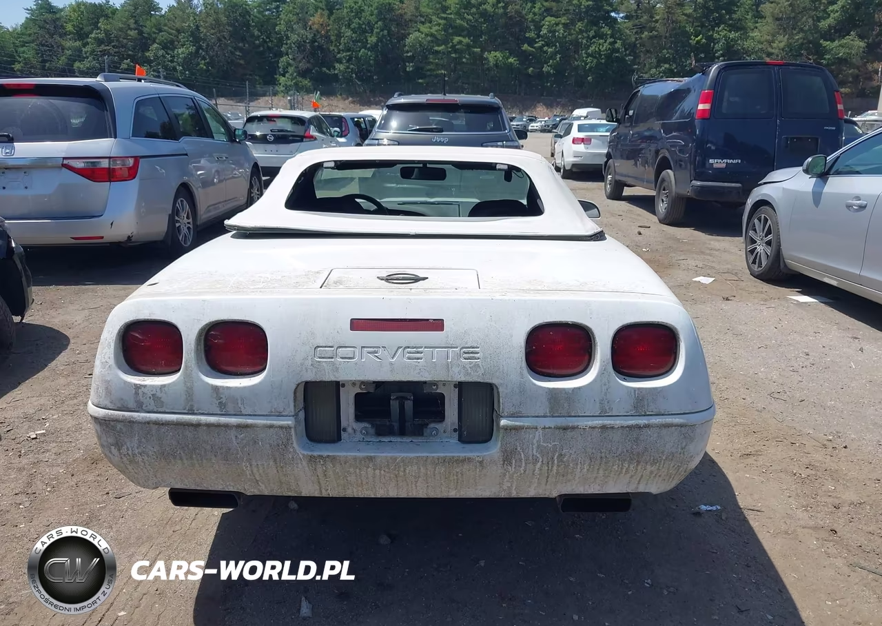 1996 Chevrolet Corvette VIN:1G1YY32P1T5117979 - 16