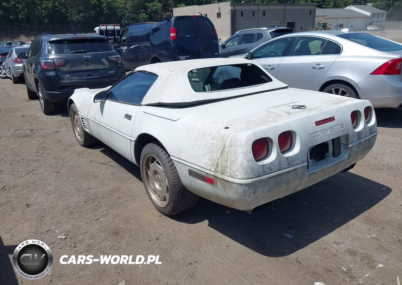 1996 Chevrolet Corvette VIN:1G1YY32P1T5117979 - 3
