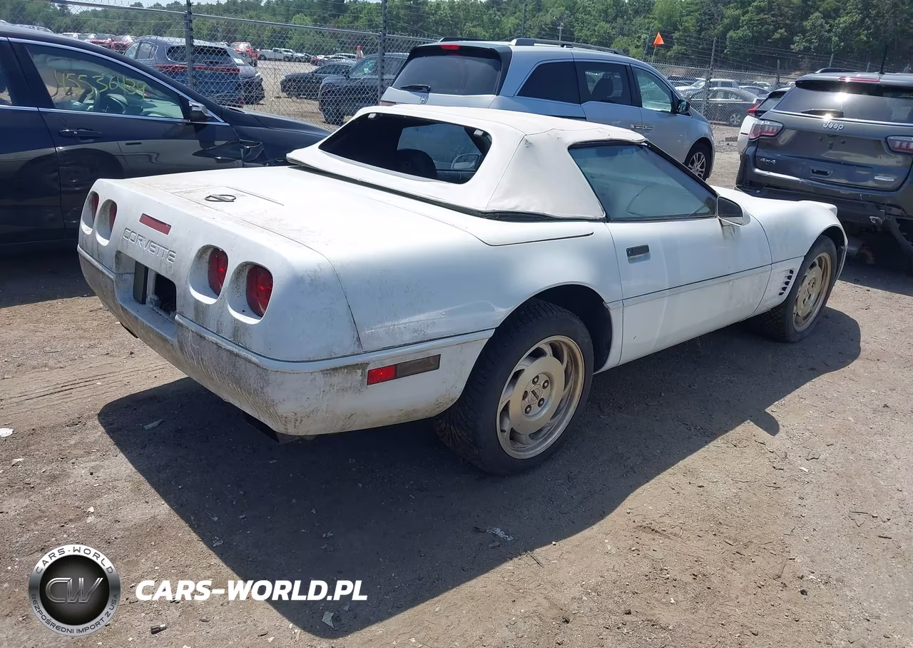 1996 Chevrolet Corvette VIN:1G1YY32P1T5117979 - 4
