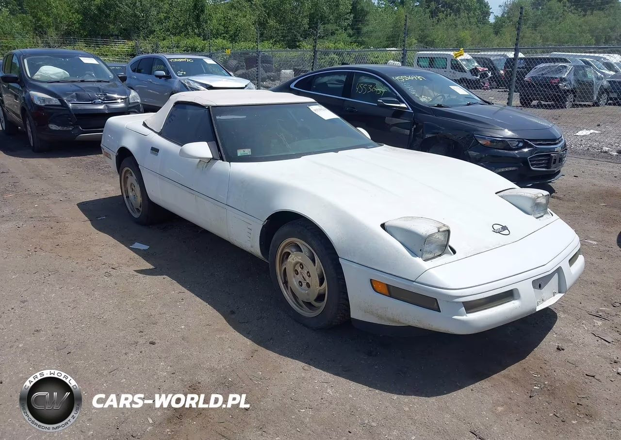 1996 Chevrolet Corvette VIN:1G1YY32P1T5117979 - 6