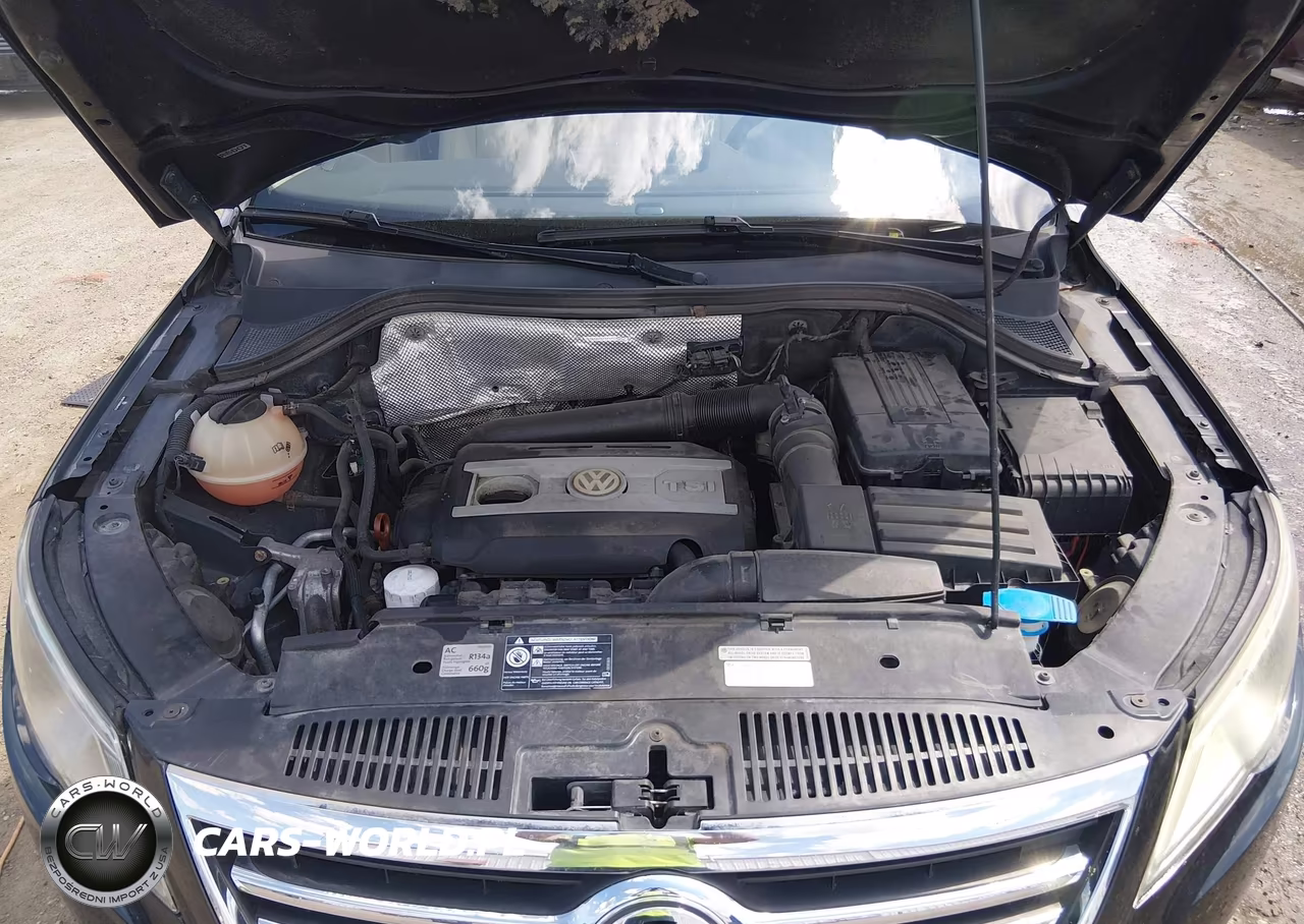 2011 Volkswagen Tiguan Sel VIN:WVGBV7AX2BW545322 - 10