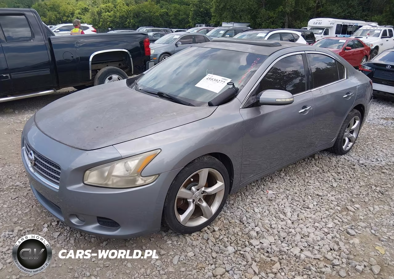 2009 Nissan Maxima 3.5 Sv VIN:1N4AA51E29C814449 - 2