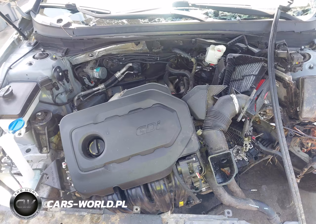 2015 Hyundai Sonata Se VIN:5NPE24AF6FH137336 - 10