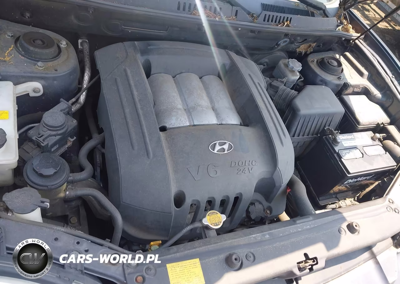 2005 Hyundai Santa Fe Gls VIN:KM8SC73D95U916453 - 10
