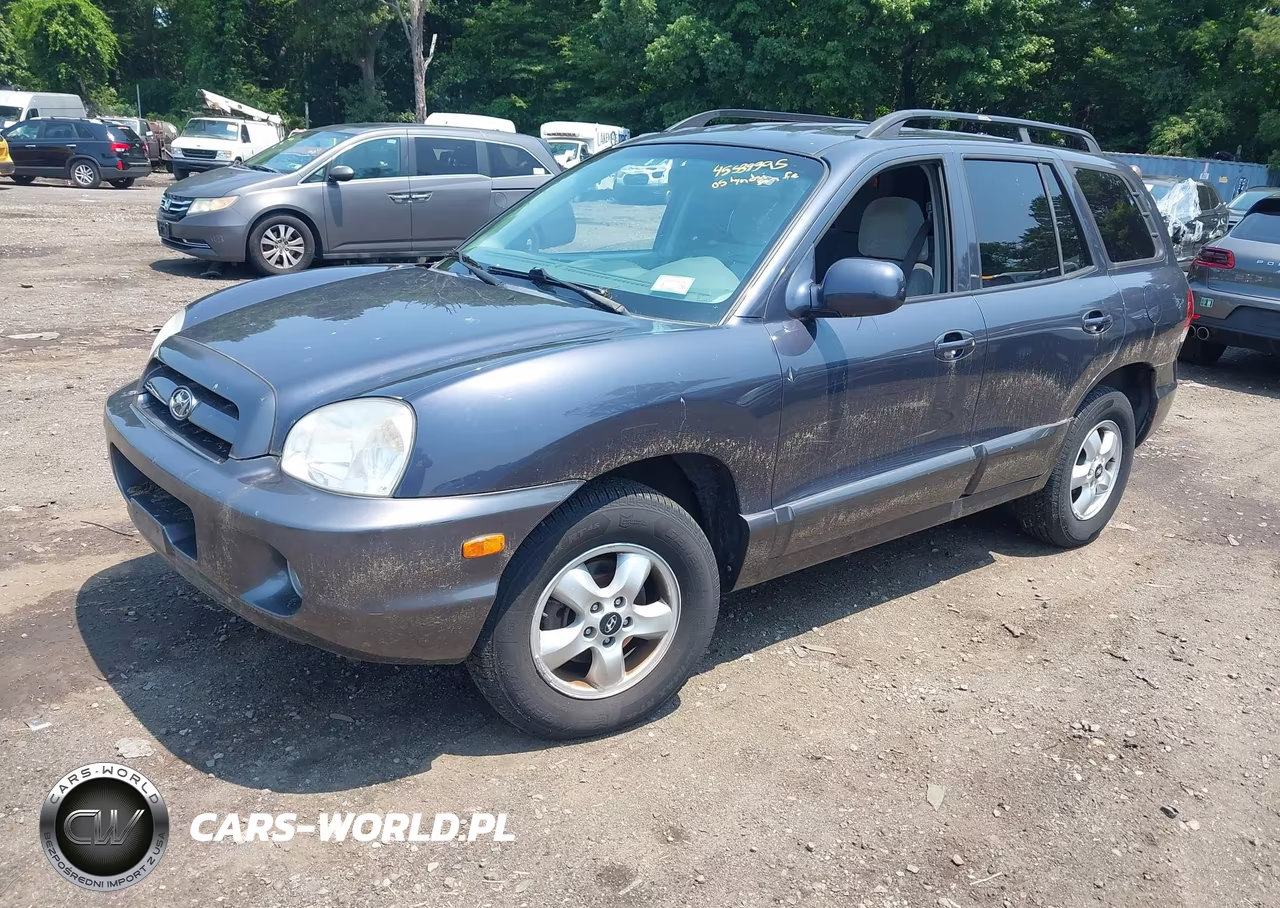 2005 Hyundai Santa Fe Gls VIN:KM8SC73D95U916453 - 2