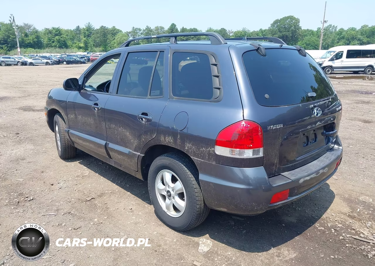 2005 Hyundai Santa Fe Gls VIN:KM8SC73D95U916453 - 3