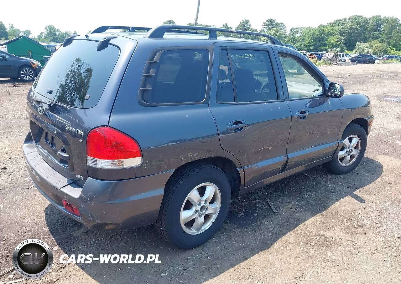 2005 Hyundai Santa Fe Gls VIN:KM8SC73D95U916453 - 4