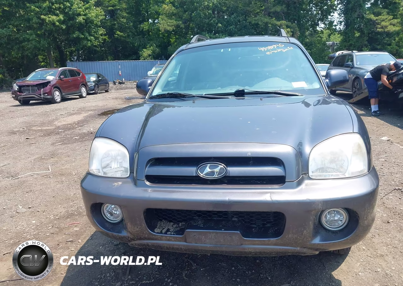 2005 Hyundai Santa Fe Gls VIN:KM8SC73D95U916453 - 6