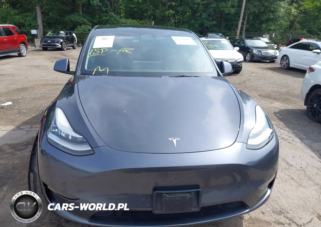 2021 Tesla Model Y Long Range Dual Motor All-Wheel Drive VIN:5YJYGDEE3MF297654 - 12