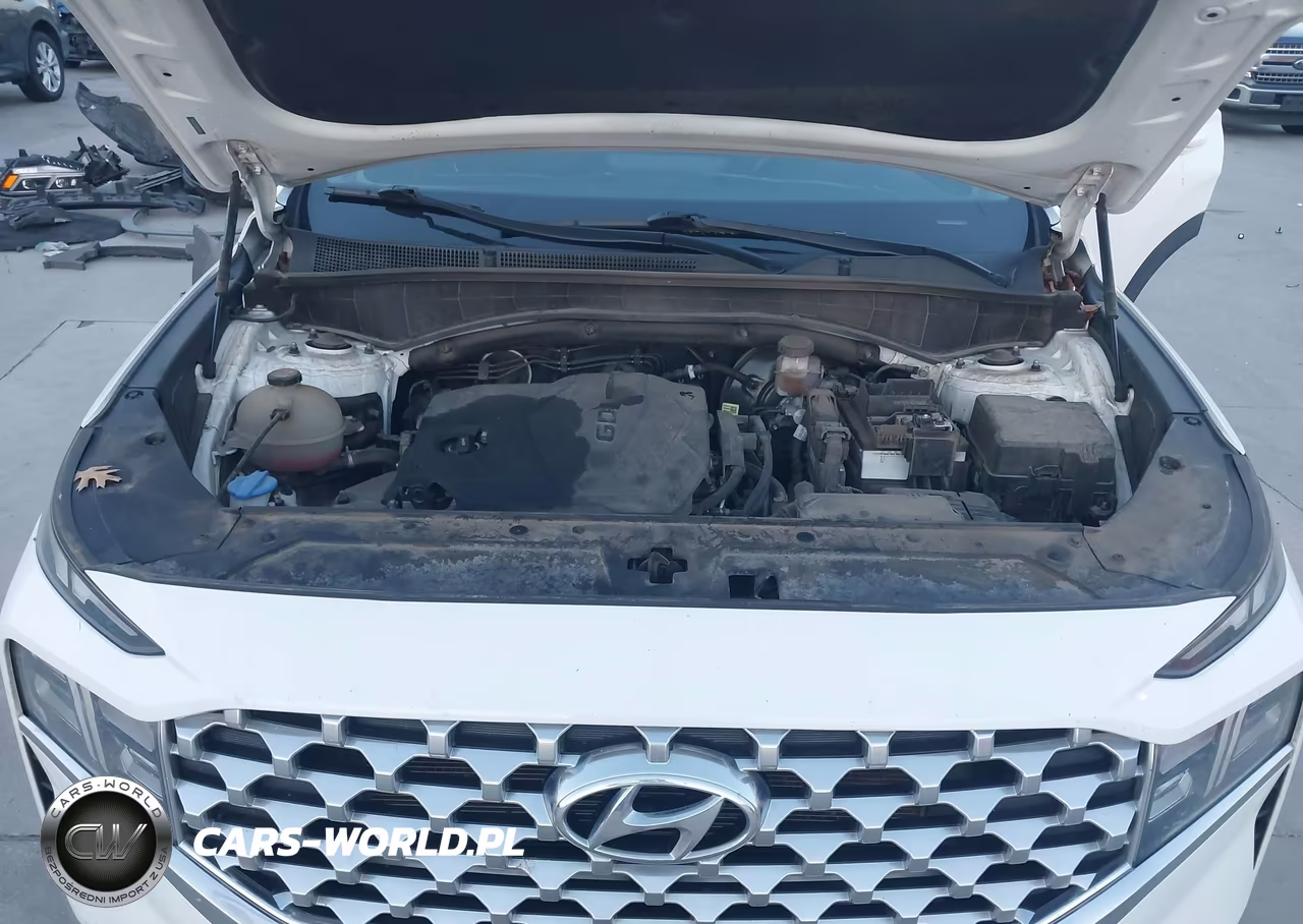 2022 Hyundai Santa Fe Sel VIN:5NMS24AJ3NH407402 - 10