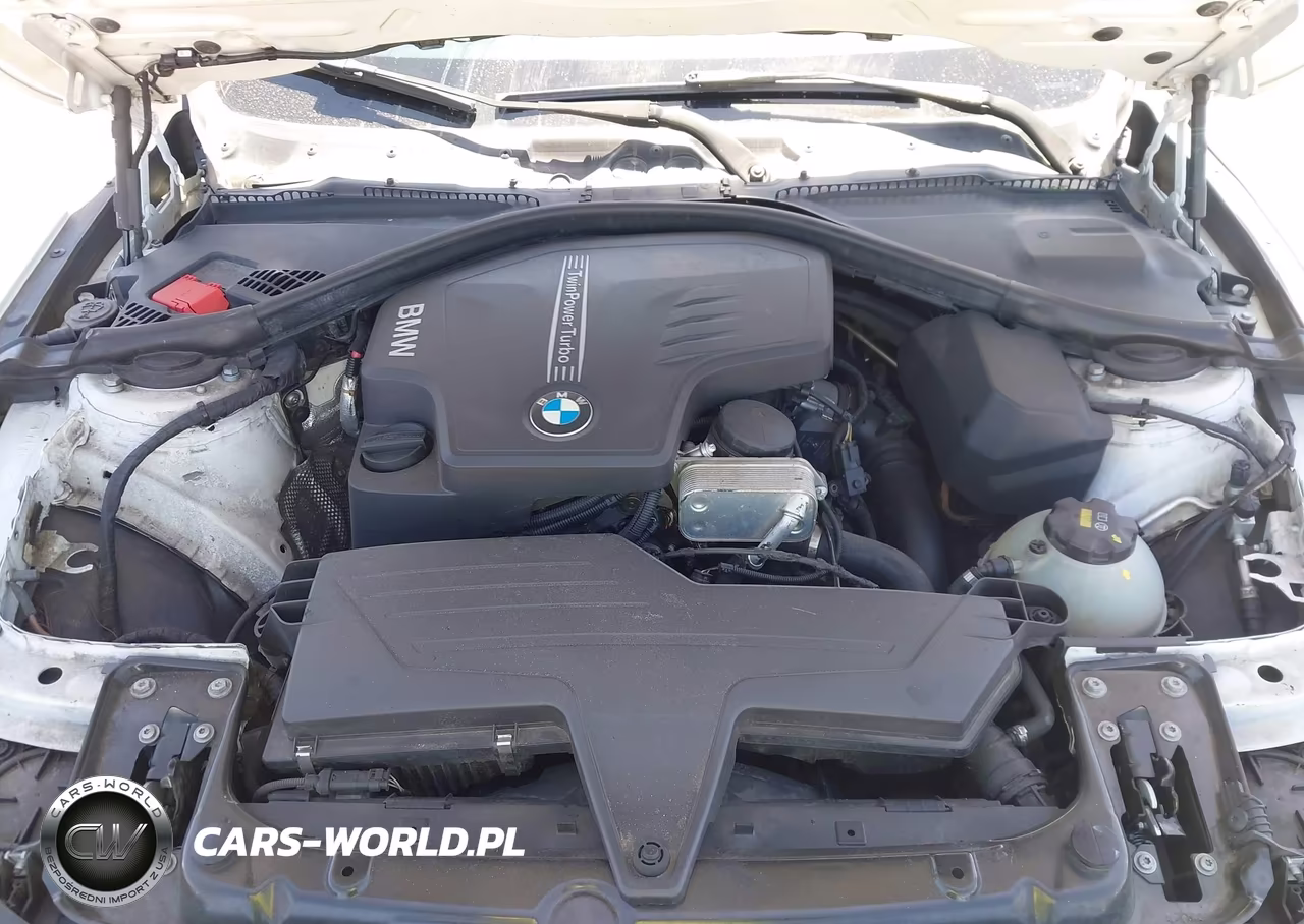 2015 BMW 428I VIN:WBA3N7C51FK223155 - 10
