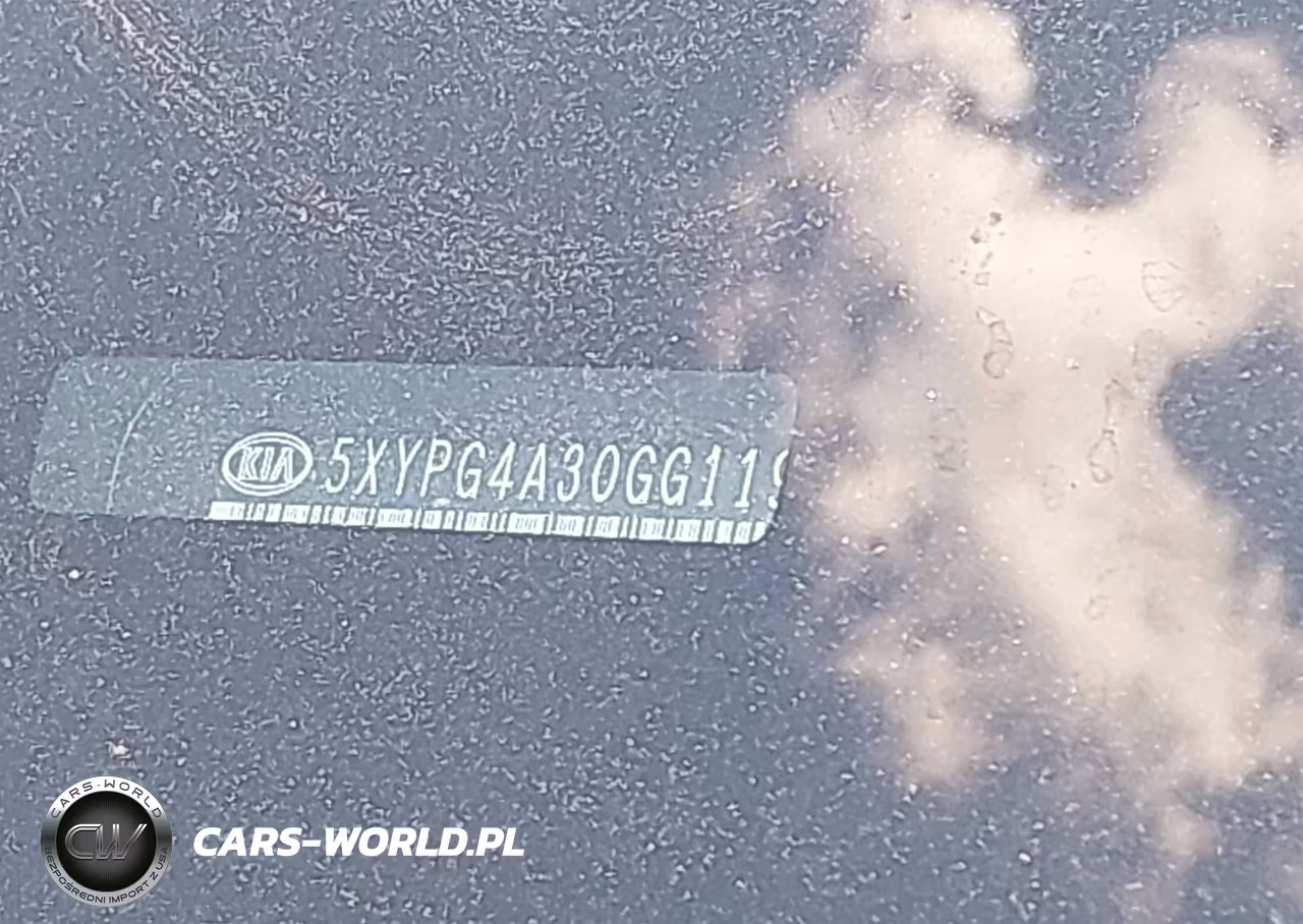 2016 Kia Sorento 2.4L Lx VIN:5XYPG4A30GG119696 - 12