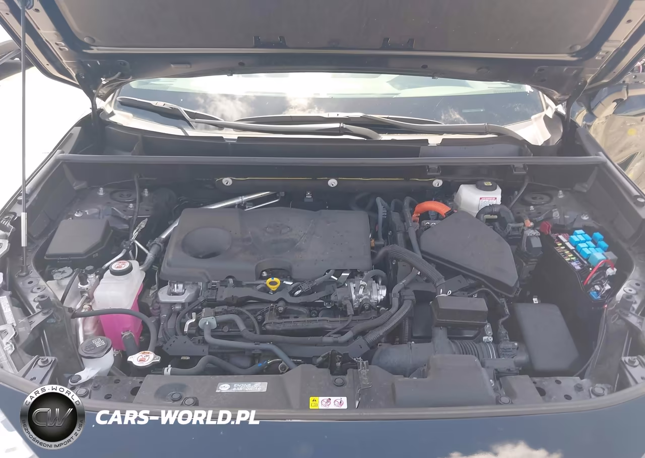 2024 Toyota Rav4 Hybrid Xle VIN:JTMRWRFV5RD269016 - 10