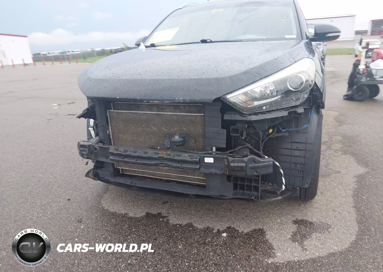 2017 Hyundai Tucson Se Plus VIN:KM8J3CA45HU479403 - 6