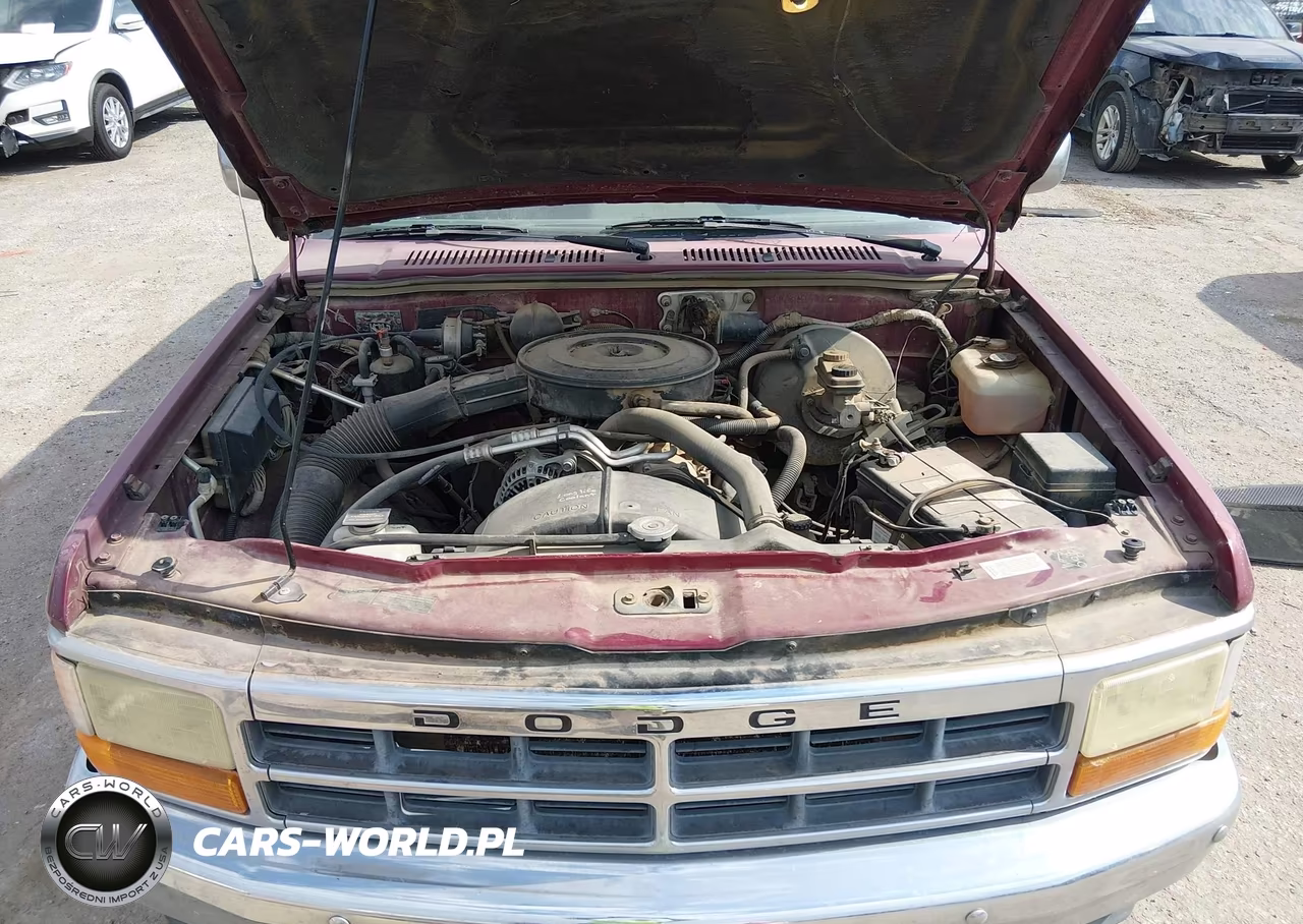 1996 Dodge Dakota VIN:1B7GL23X7TS505777 - 10