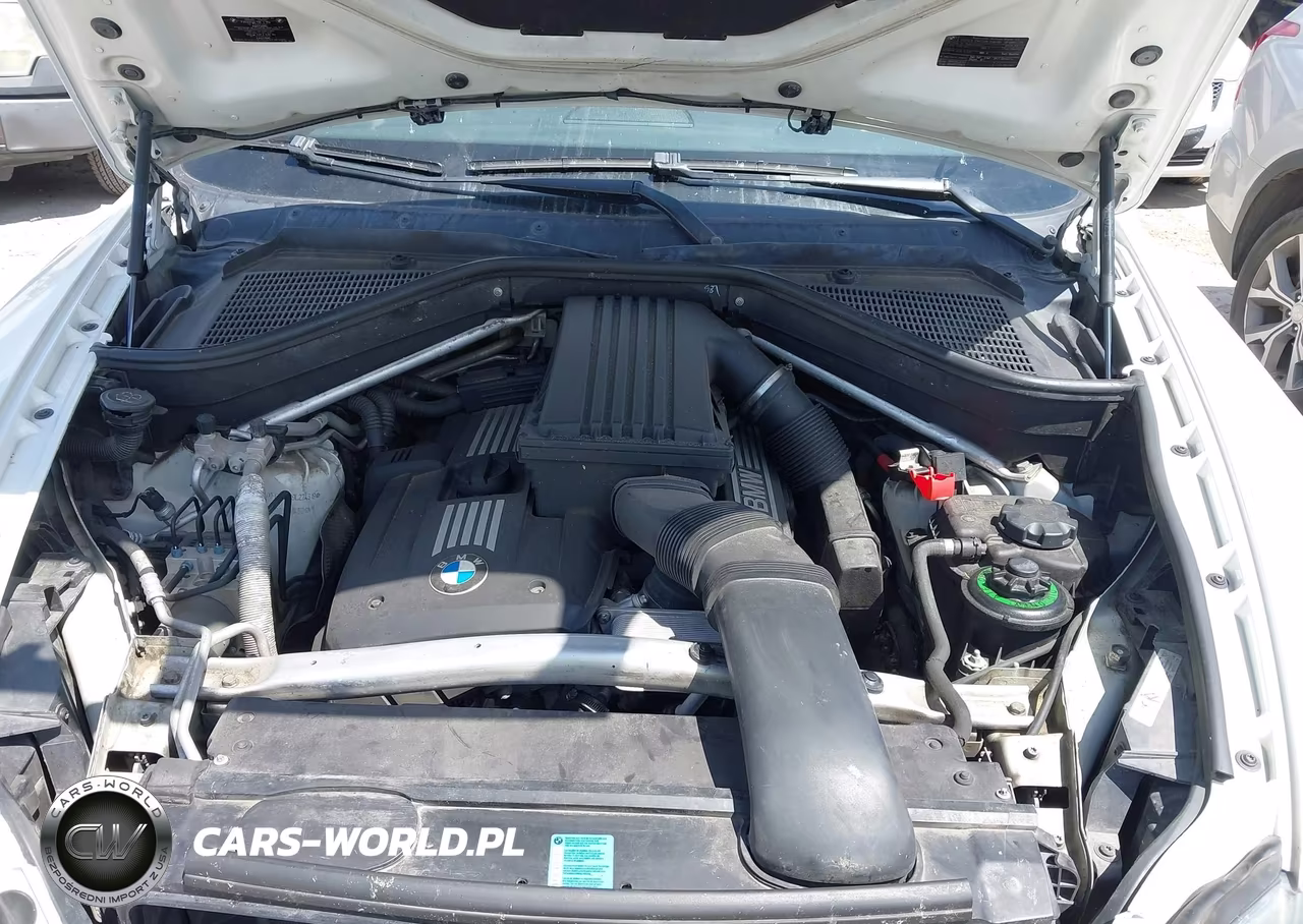 2009 BMW X5 xDrive30I VIN:5UXFE43529L274319 - 10
