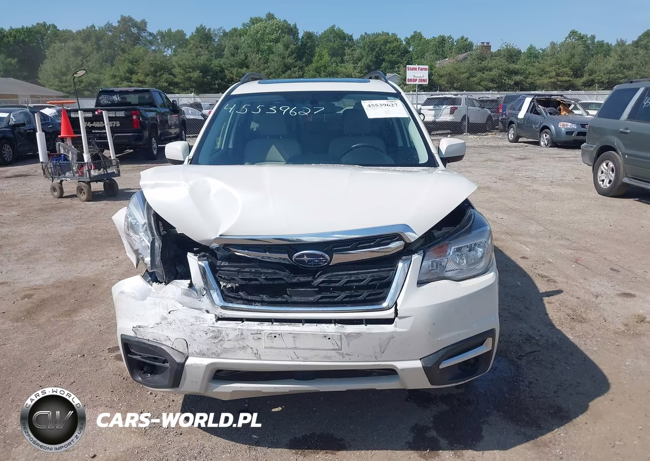 2017 Subaru Forester 2.5I Premium VIN:JF2SJAEC5HH555524 - 13