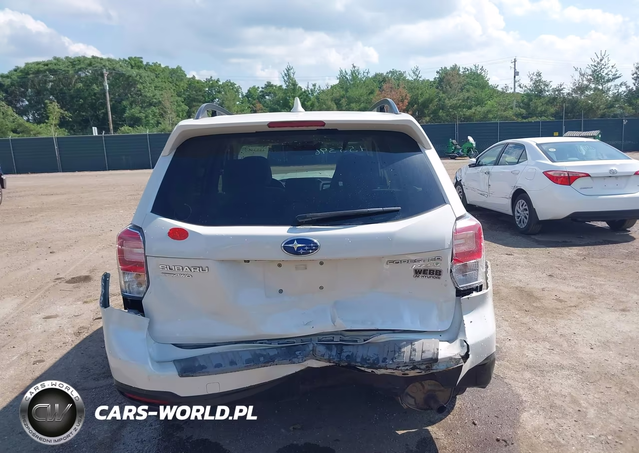 2017 Subaru Forester 2.5I Premium VIN:JF2SJAEC5HH555524 - 17