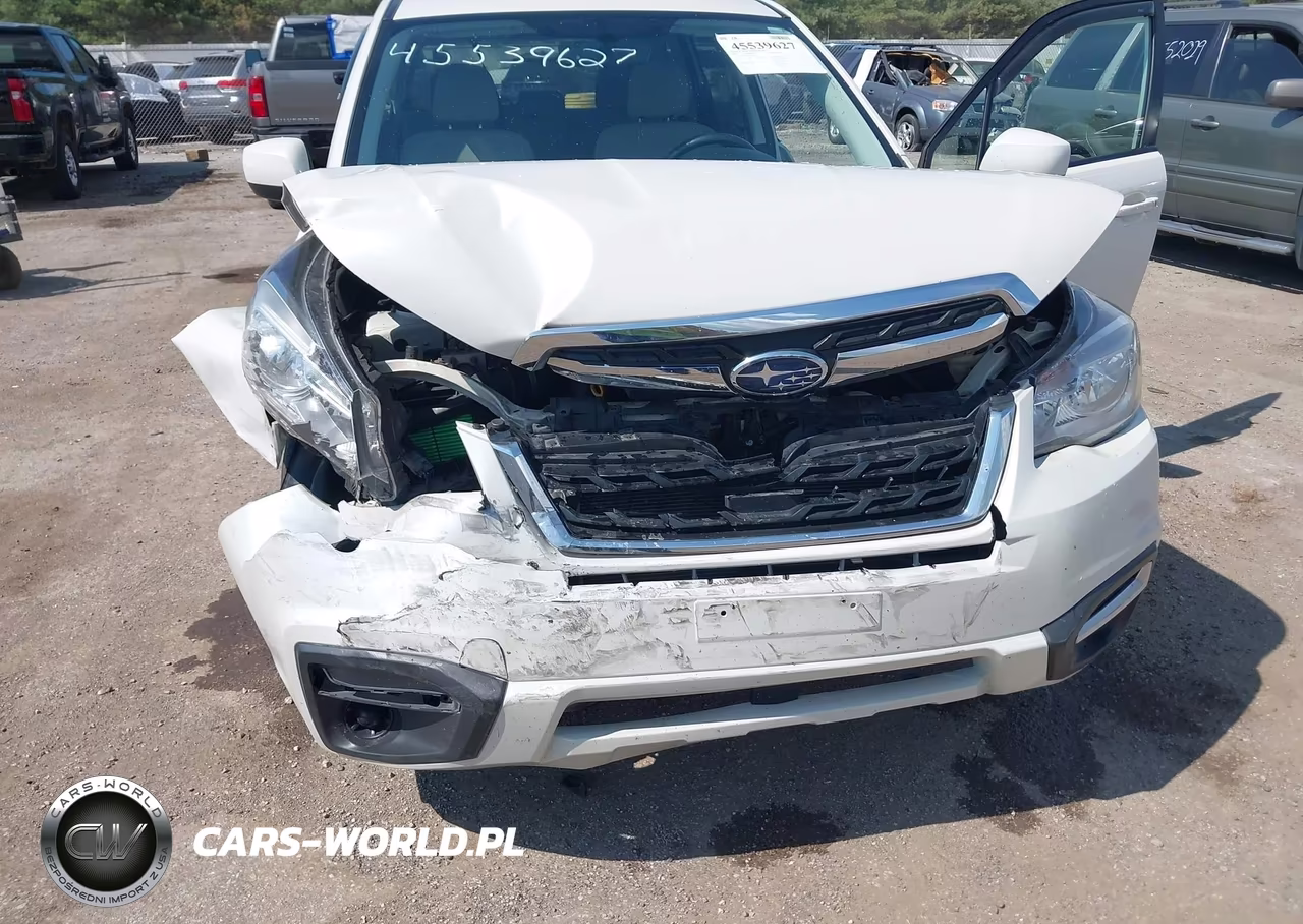 2017 Subaru Forester 2.5I Premium VIN:JF2SJAEC5HH555524 - 18